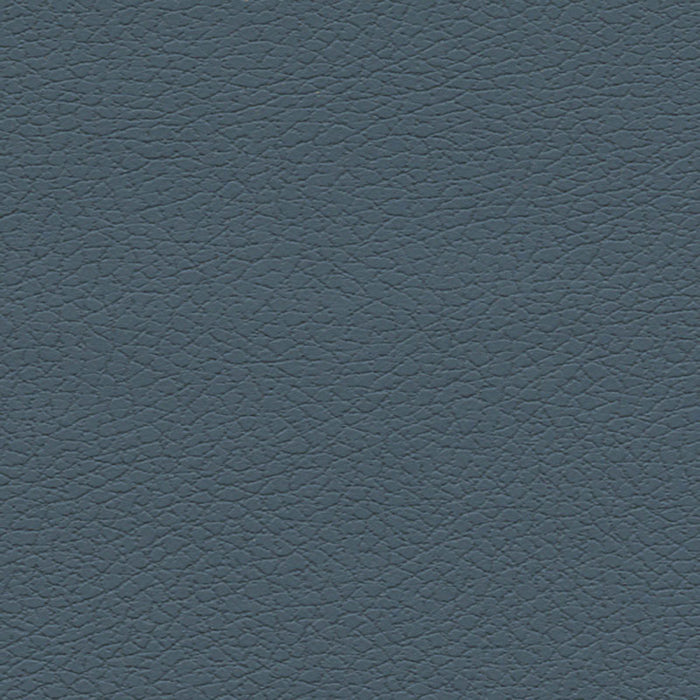 Schumacher Brisa Federal Fabric Sample 303-2645