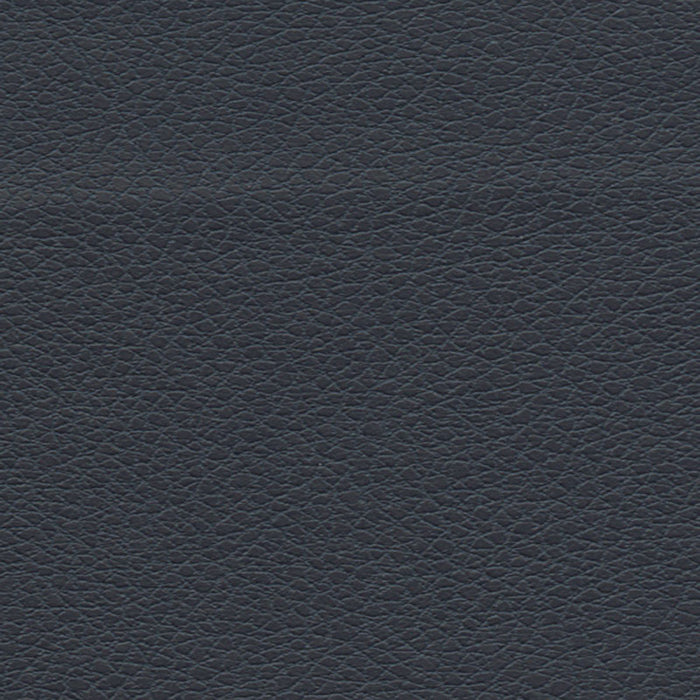 Schumacher Brisa Indigo Fabric Sample 303-2683