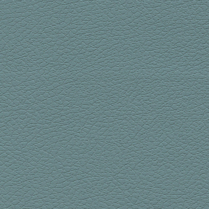 Schumacher Brisa Mineral Fabric Sample 303-2697