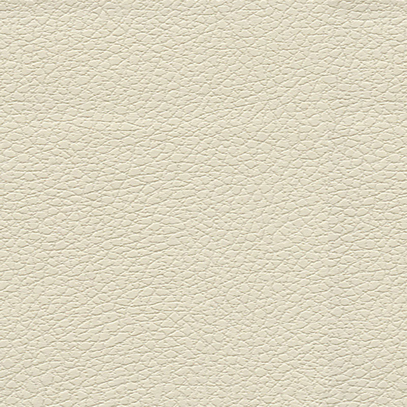 Schumacher Brisa Birch Fabric Sample 303-3019