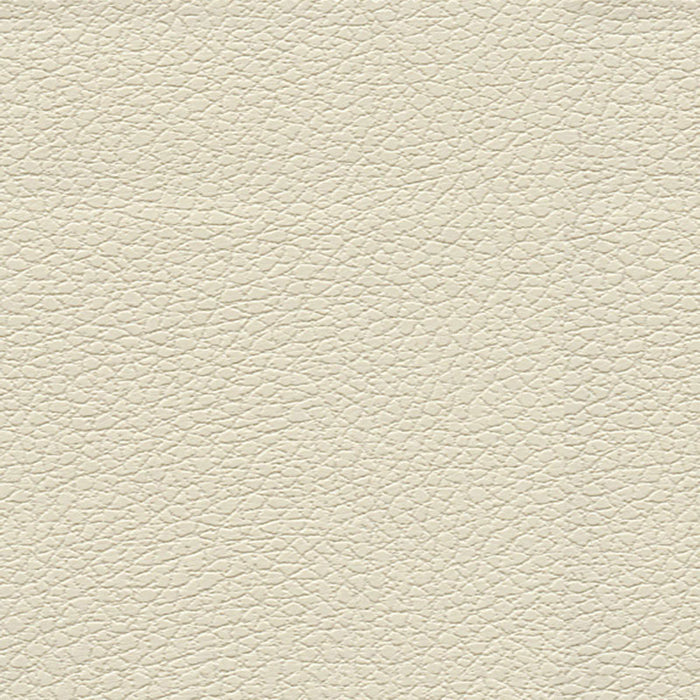 Schumacher Brisa Birch Fabric Sample 303-3019
