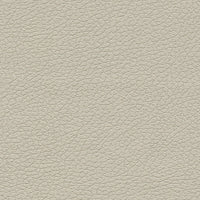 Schumacher Brisa Bone Fabric 303-3822