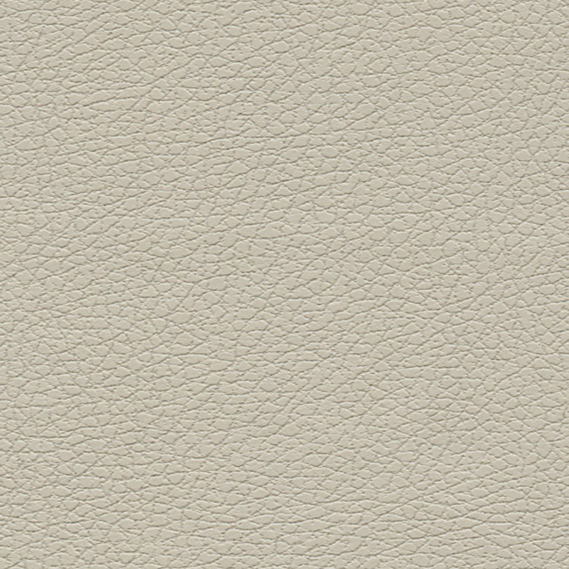 Schumacher Brisa Bone Fabric Sample 303-3822