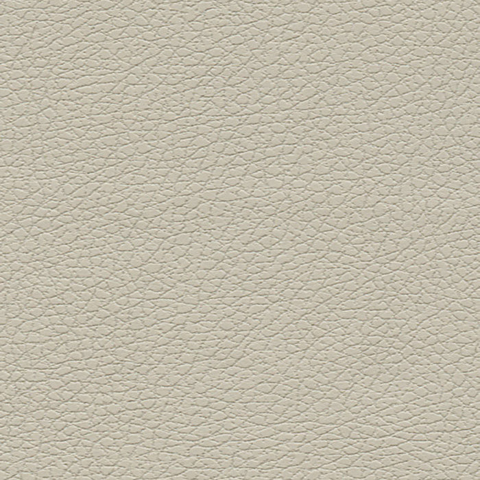 Schumacher Brisa Bone Fabric Sample 303-3822