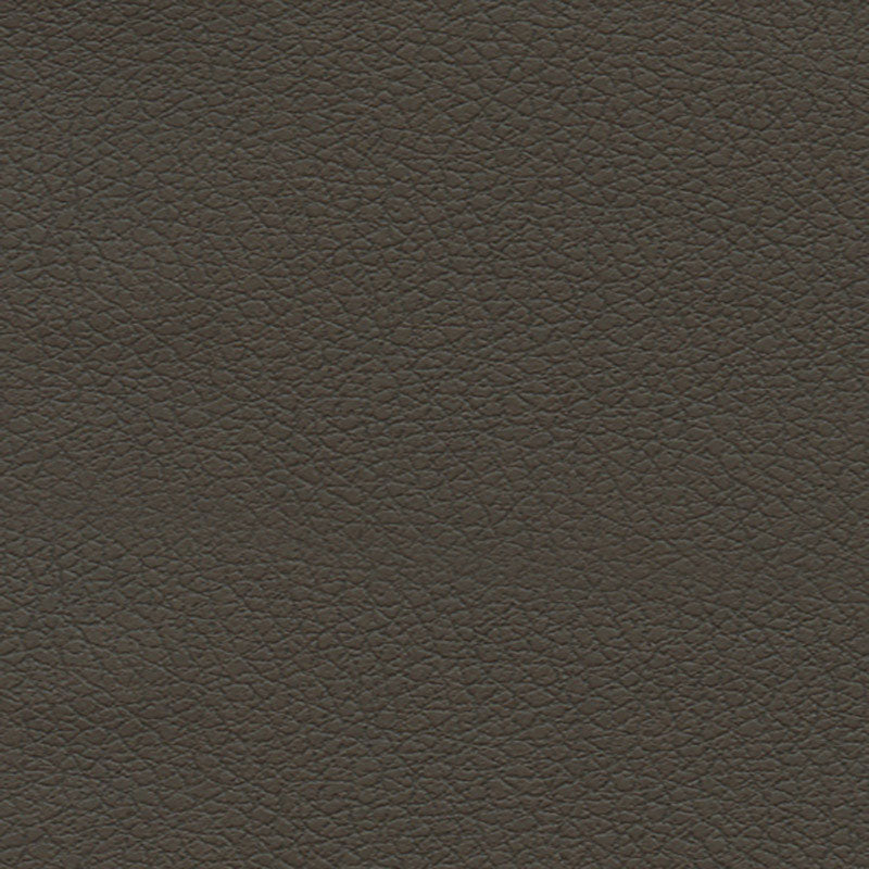 Schumacher Brisa Truffle Fabric Sample 303-3913