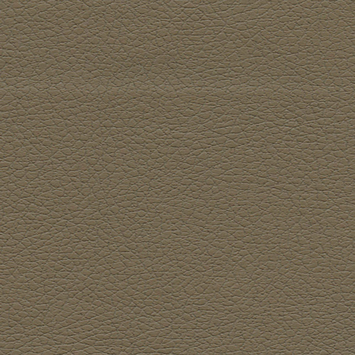 Schumacher Brisa Bark Fabric Sample 303-3914