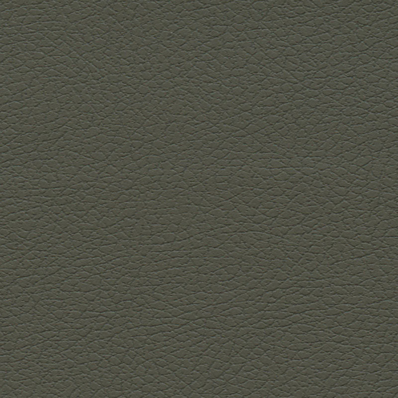 Schumacher Brisa Olive Fabric 303-4488