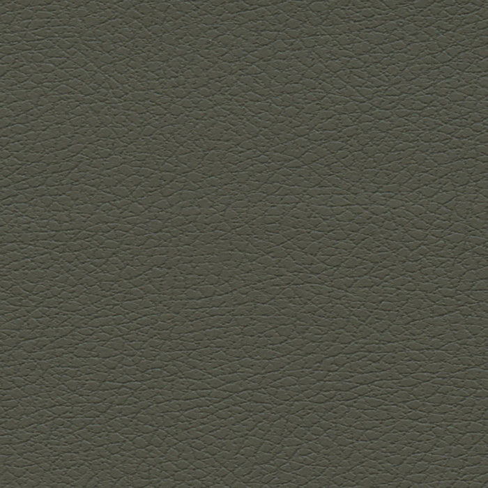 Schumacher Brisa Olive Fabric Sample 303-4488