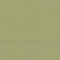 Schumacher Brisa Celery Fabric 303-4510