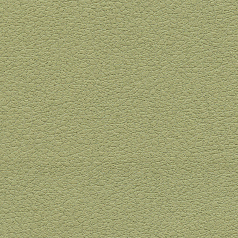 Schumacher Brisa Celery Fabric 303-4510