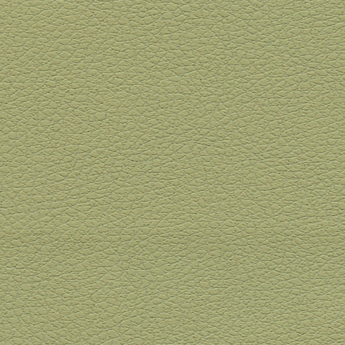 Schumacher Brisa Celery Fabric Sample 303-4510