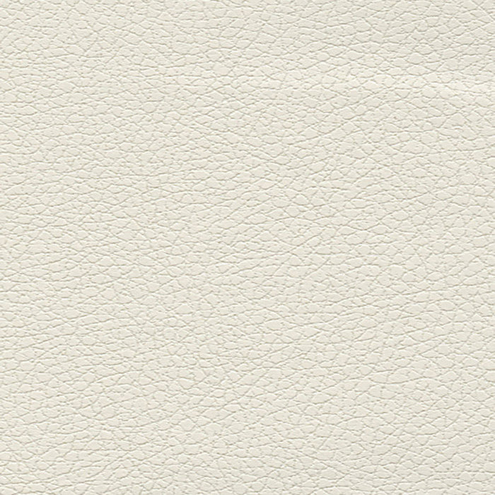 Schumacher Brisa White Fabric Sample 303-5747