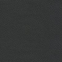 Schumacher Brisa Black Onyx Fabric 303-5749
