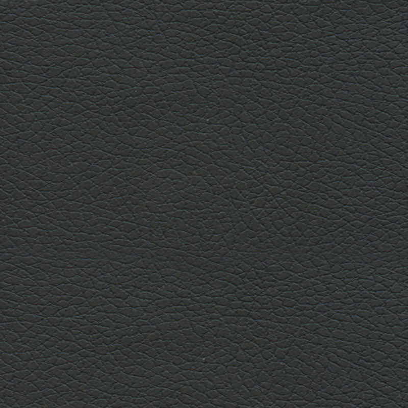 Schumacher Brisa Black Onyx Fabric 303-5749