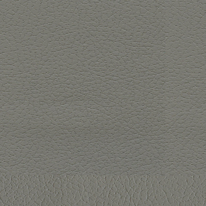 Schumacher Brisa Ash Fabric Sample 303-5802