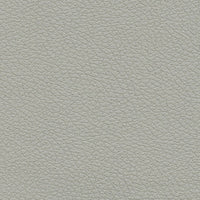 Schumacher Brisa Quicksilver Fabric 303-5820