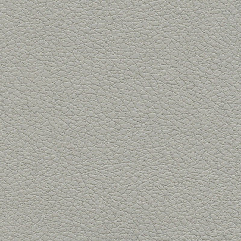 Schumacher Brisa Quicksilver Fabric Sample 303-5820