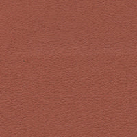 Schumacher Brisa Cinnabar Fabric 303-8245