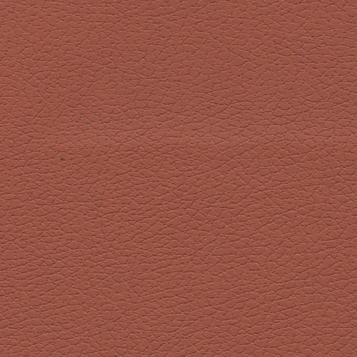 Schumacher Brisa Cinnabar Fabric Sample 303-8245