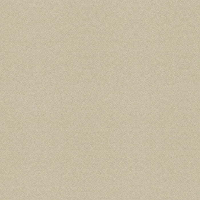 Kravet Design Ultrasuede Green Chino Fabric Sample 30787.111.0