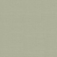 Schumacher Indochine Stone Fabric 3123011