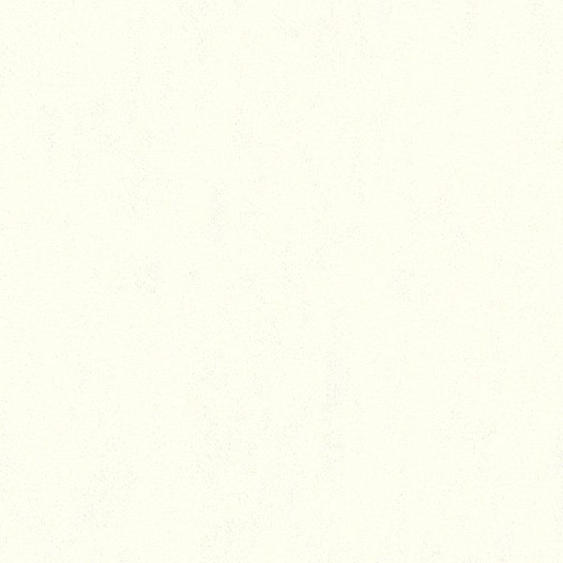 Kravet Basics Broadmoor Cloud Fabric Sample 32642.101.0