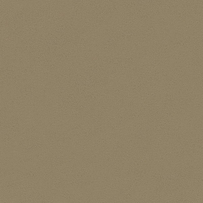 Kravet Basics Broadmoor Bark Fabric Sample 32642.1611.0