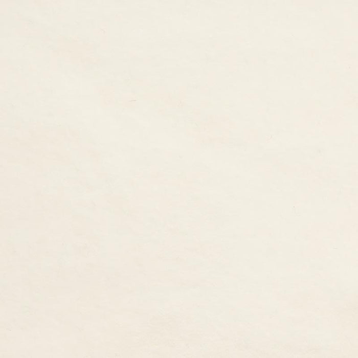 Holly Hunt Great Plains High Hopes Snow Fabric Sample 3278/05