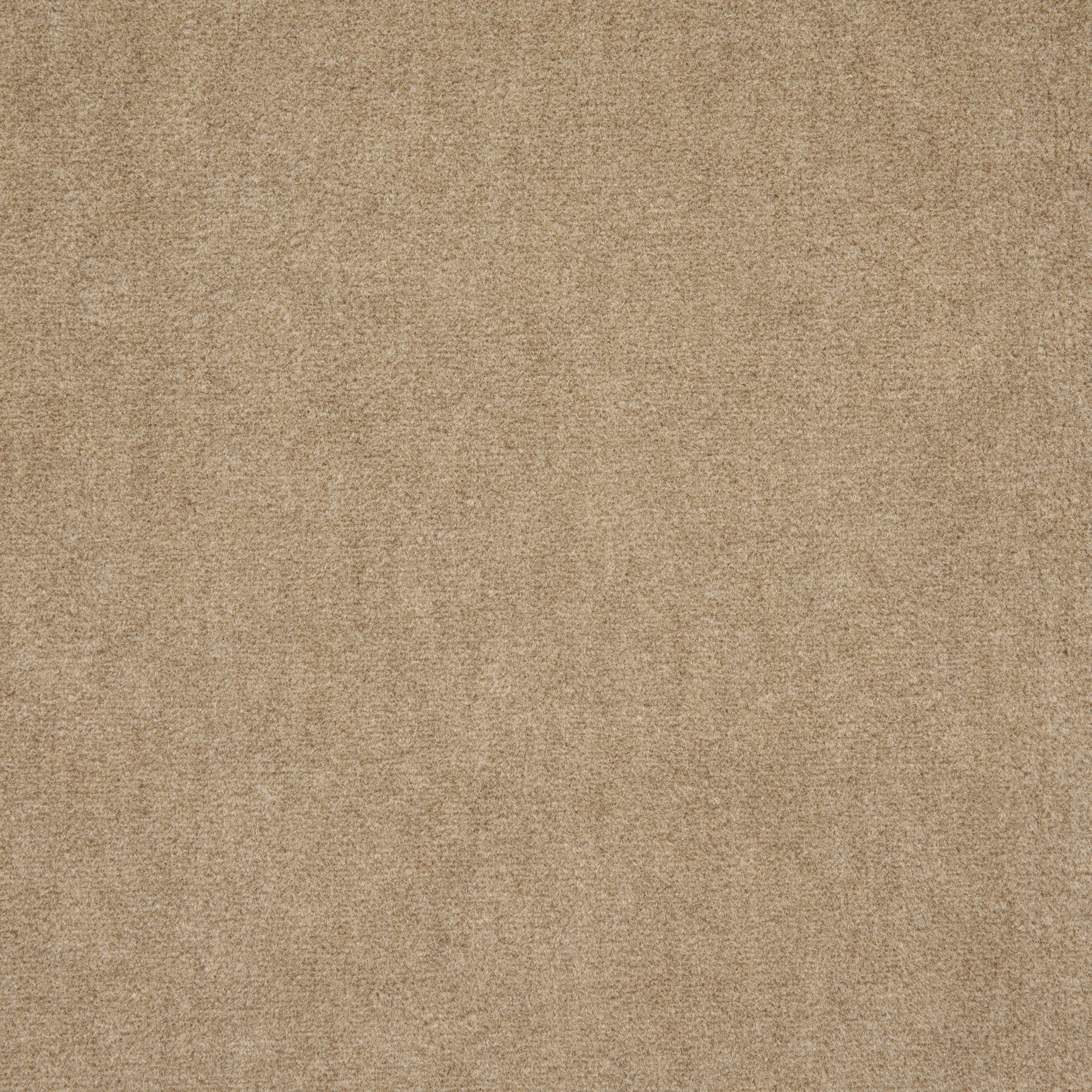 Holly Hunt Great Plains Alpaca Velvet Limestone Fabric Sample 3287/14
