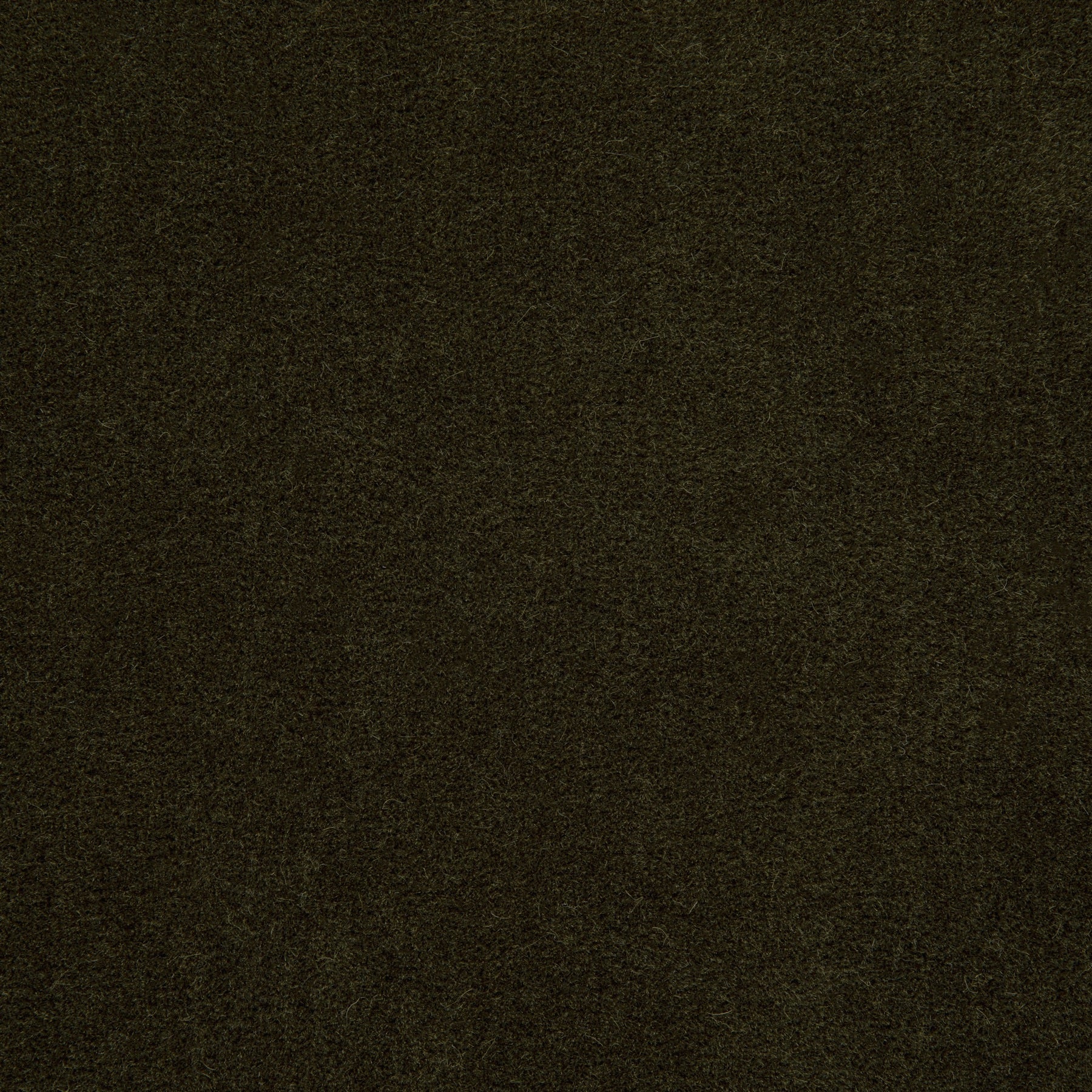 Holly Hunt Great Plains Alpaca Velvet Dark Palm Fabric Sample 3287/19