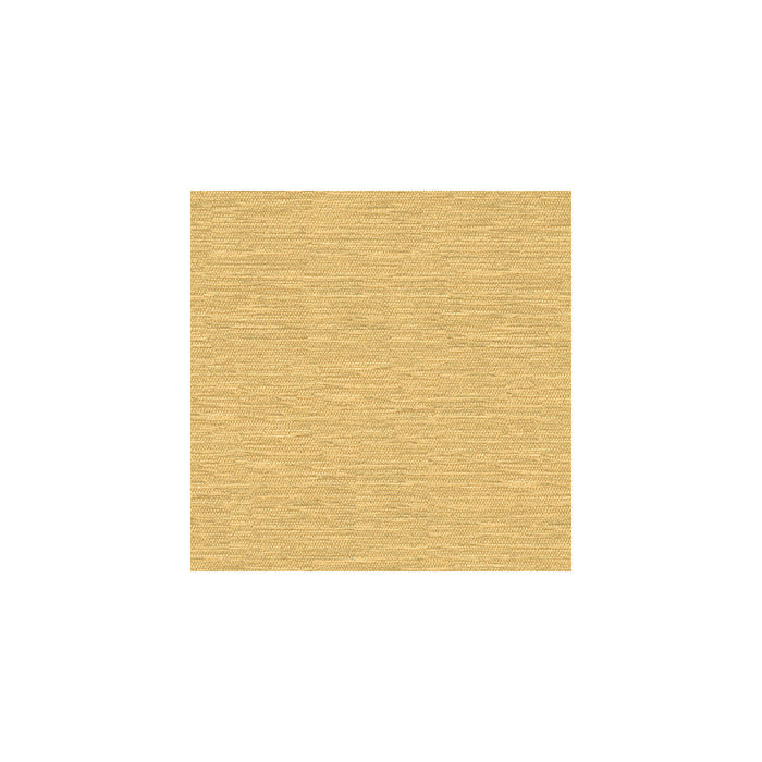 Kravet Smart 32877.116.0 Fabric Sample