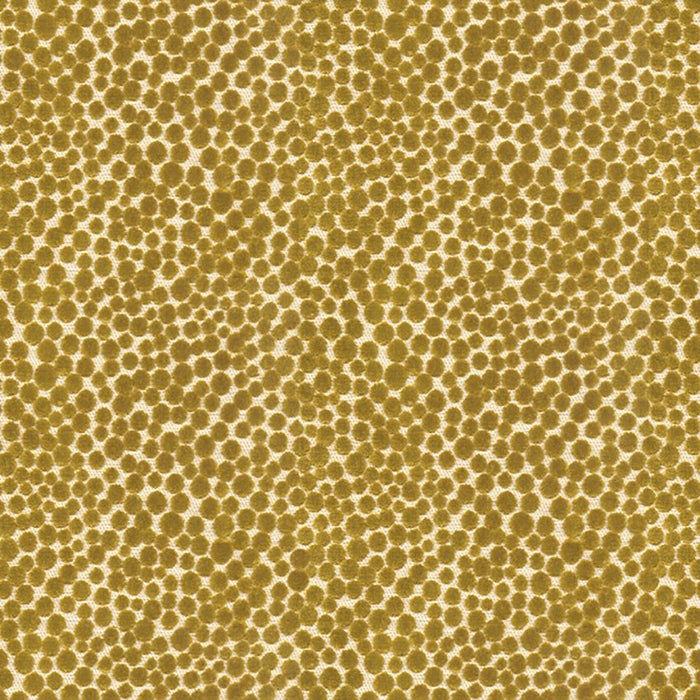 Kravet Couture Polka Dot Plush Quince Fabric Sample 32972.23.0