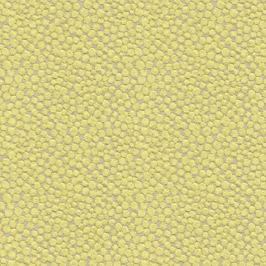Kravet Couture Polka Dot Plush Wasabi Fabric Sample 32972.323.0