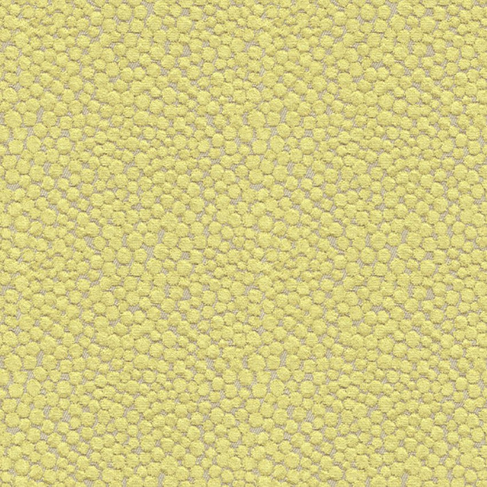 Kravet Couture Polka Dot Plush Wasabi Fabric Sample 32972.323.0