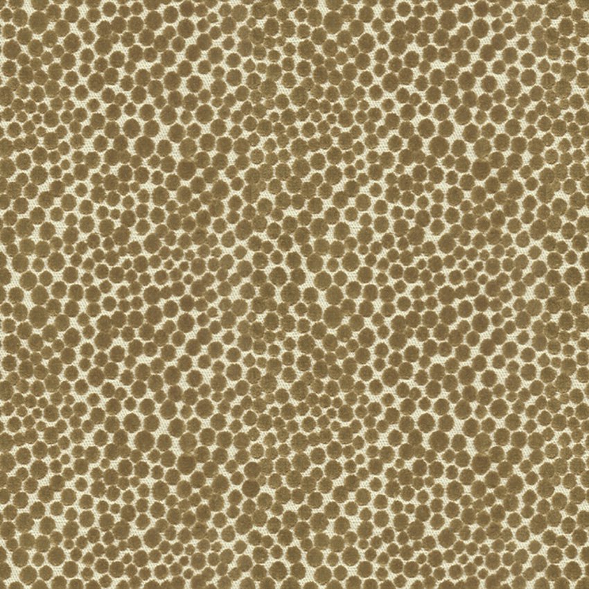 Kravet Couture Polka Dot Plush Falcon Fabric Sample 32972.66.0