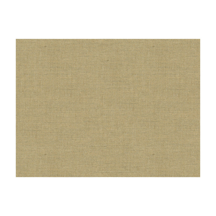 Kravet Smart 33225.1616.0 Fabric Sample