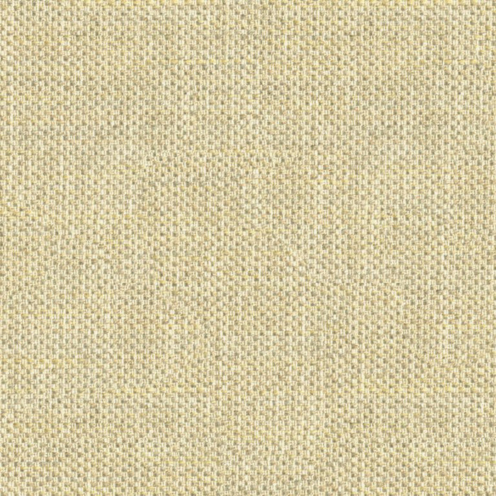 Kravet Couture Do The Hustle Platinum Fabric Sample 33443.411.0