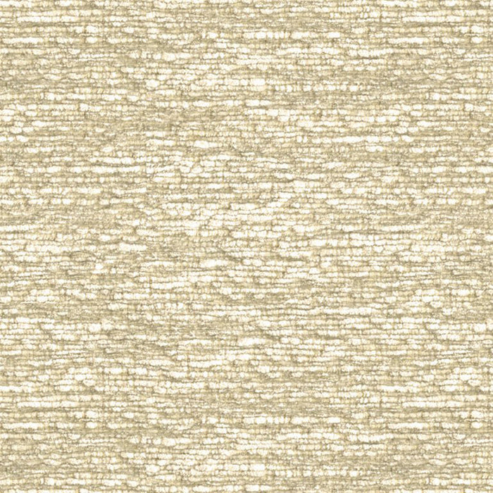 Kravet Couture Two''s Company Platinum Fabric Sample 33455.16.0