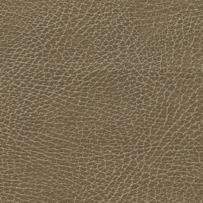 Schumacher Brisa Distressed Saddle Fabric Sample 335-3137