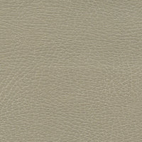Schumacher Brisa Distressed Dune Fabric 335-3869