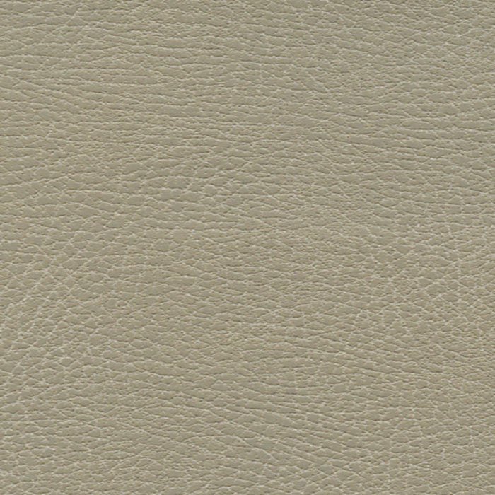 Schumacher Brisa Distressed Dune Fabric Sample 335-3869
