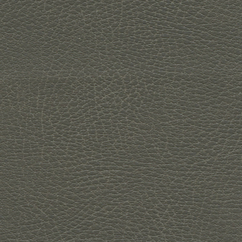 Schumacher Brisa Distressed Elephant Fabric Sample 335-3870