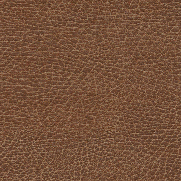 Schumacher Brisa Distressed Lasso Fabric Sample 335-3972