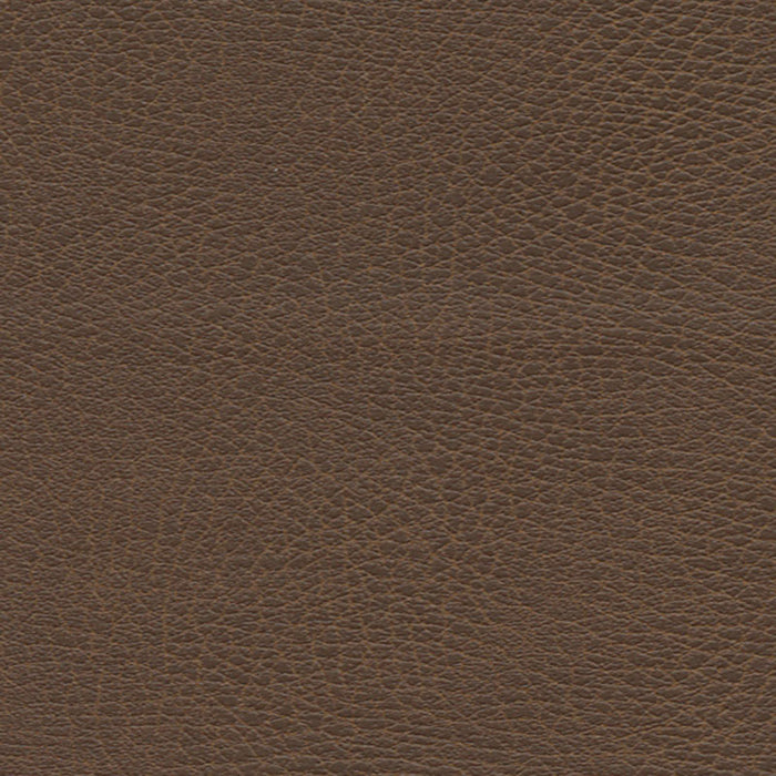Schumacher Brisa Distressed Bridle Fabric Sample 335-3976