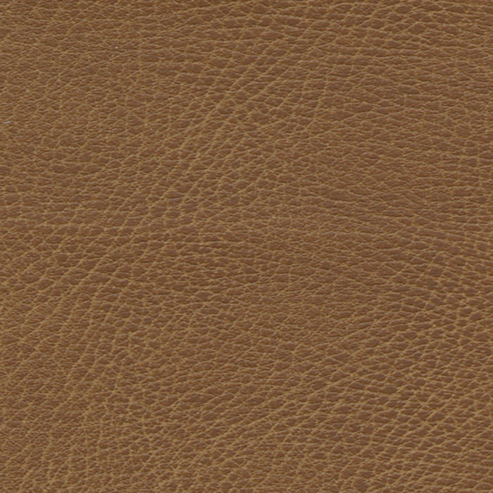 Schumacher Brisa Distressed Waylan Fabric Sample 335-3980