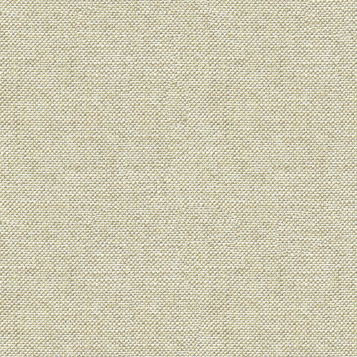 Kravet Couture Sugar Drops Platinum Fabric Sample 33555.11.0