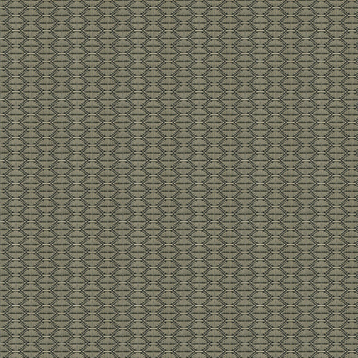 Kravet Contract Nzuri Thunder Fabric Sample 33862.1621.0
