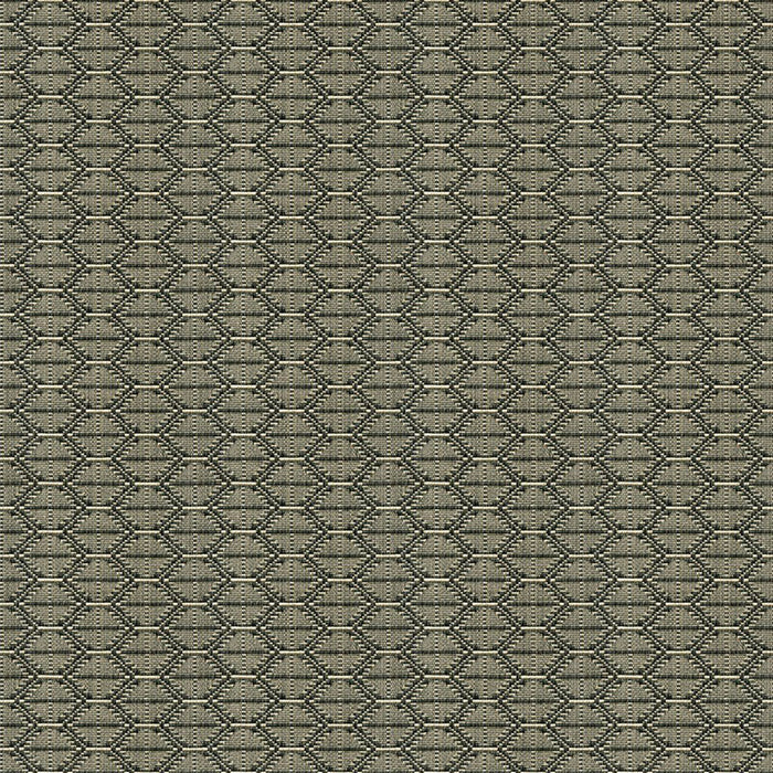Kravet Design 33880 1621 Fabric Sample 33880.1621.0