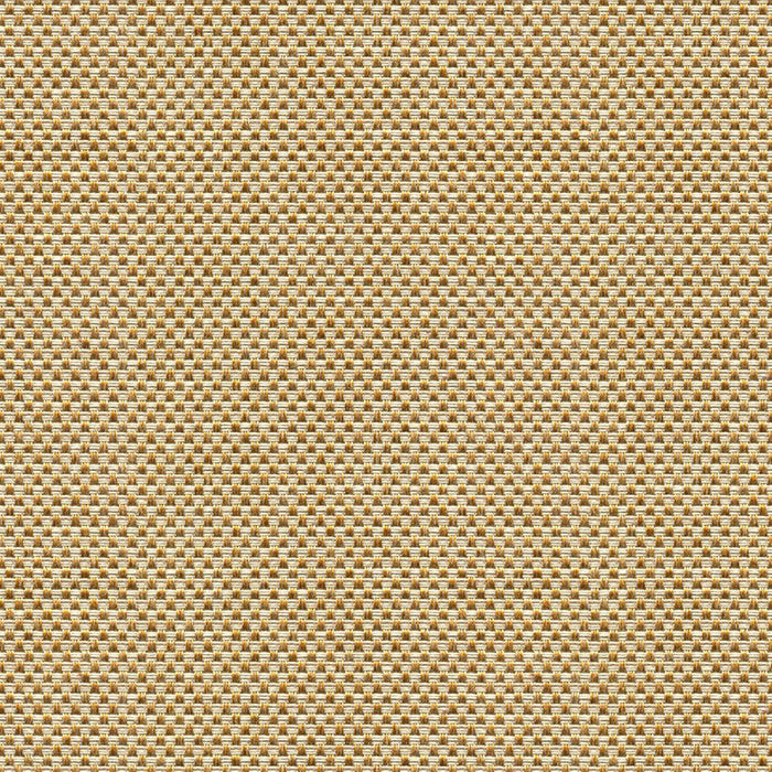 Kravet Design Sener Ochre Fabric Sample 33887.416.0