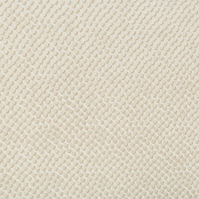 Kravet Design Mazzy Dot Parchment Fabric Sample 34051.16.0